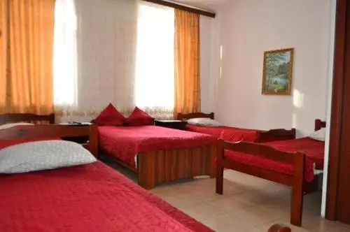 Guest House ARK — 2