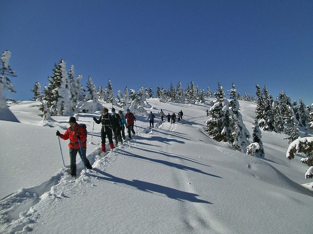 Wander-Vitalhotel Steirerhof - Général