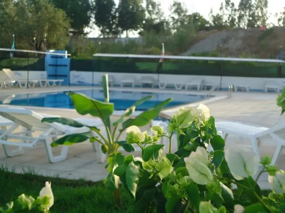 image url