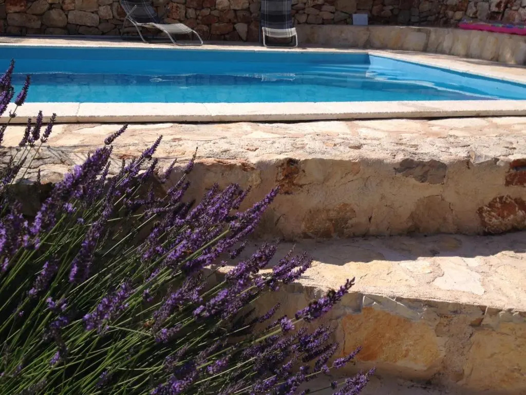 Vila Familia Hvar - Général