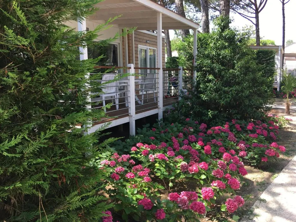 2 Bedrooms Chalet