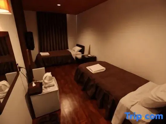 Standard Double room (twin beds)