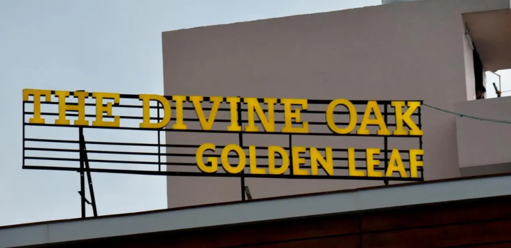 The Divine Oak Golden Leaf