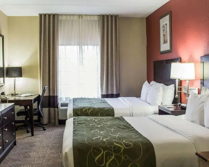 Comfort Suites Regency Park - Chambres