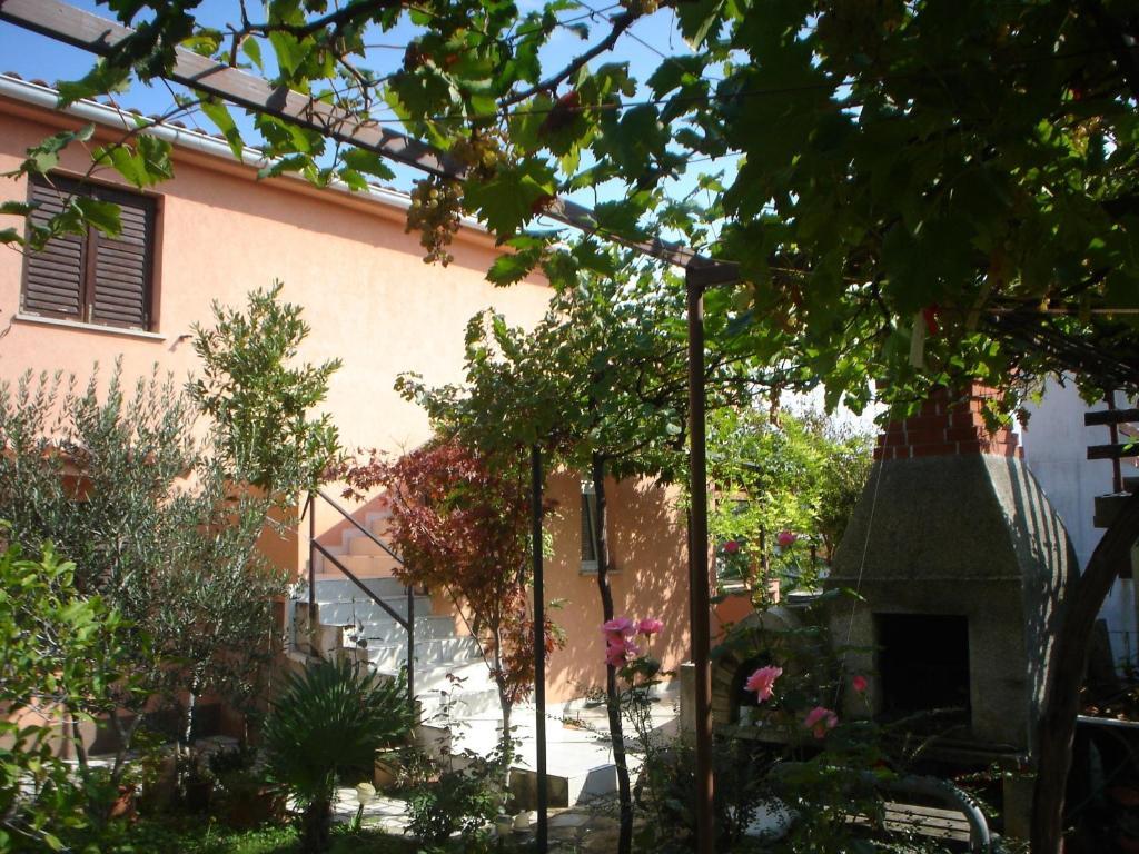 Image 10