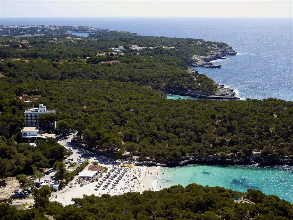 Beach & Waterfront