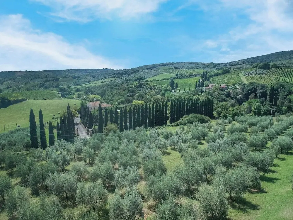 La Tesa Country House S. Gimignano