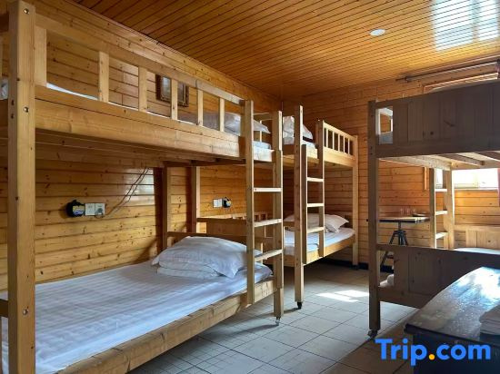 Bed in Dorm