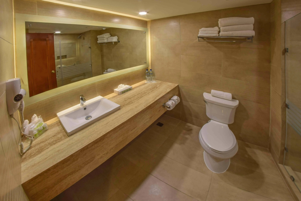 Holiday Inn Guatemala City by IHG - Général