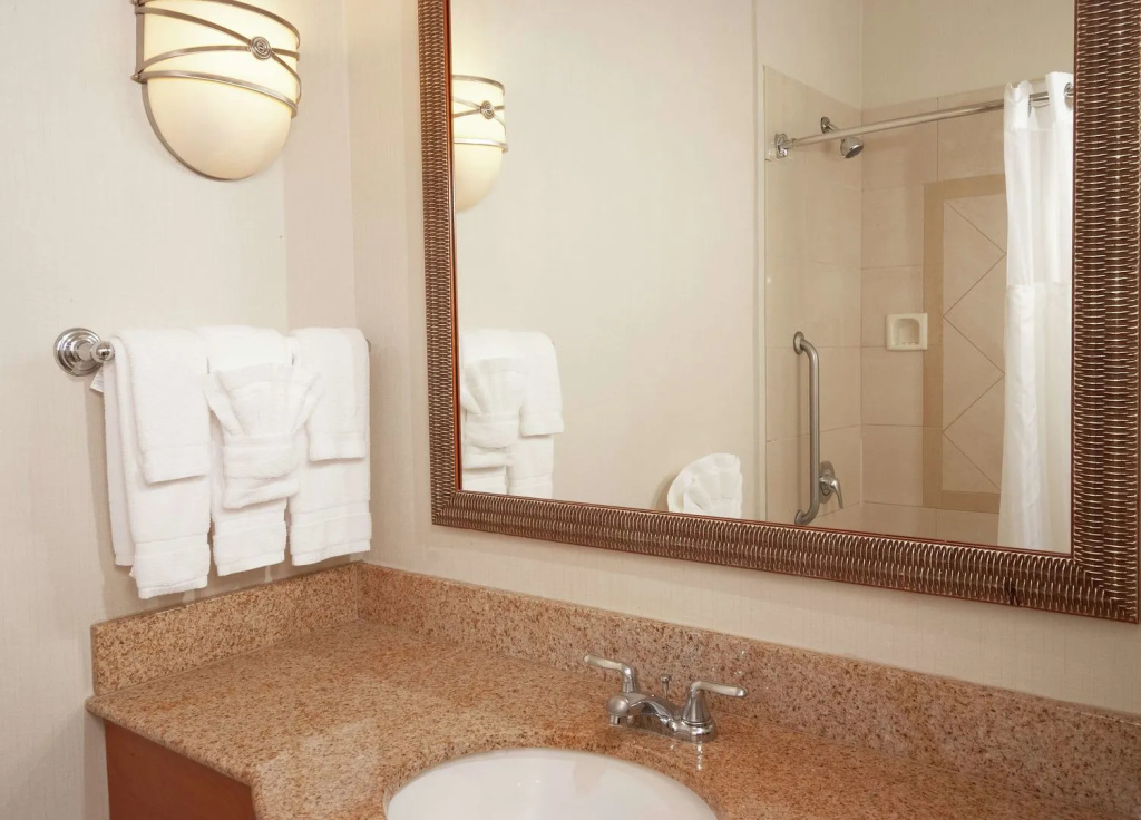 Hilton Garden Inn Atlanta Airport/Millenium Center - Général