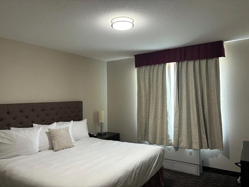 Quadruple Suite