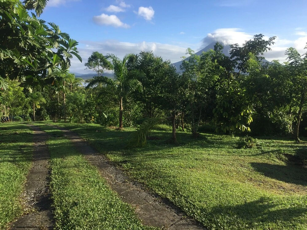 Essence Arenal Spa & Yoga - фото 19