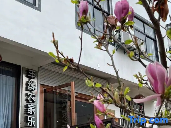 Jixi Fengyuan Farm stay in Xuancheng
