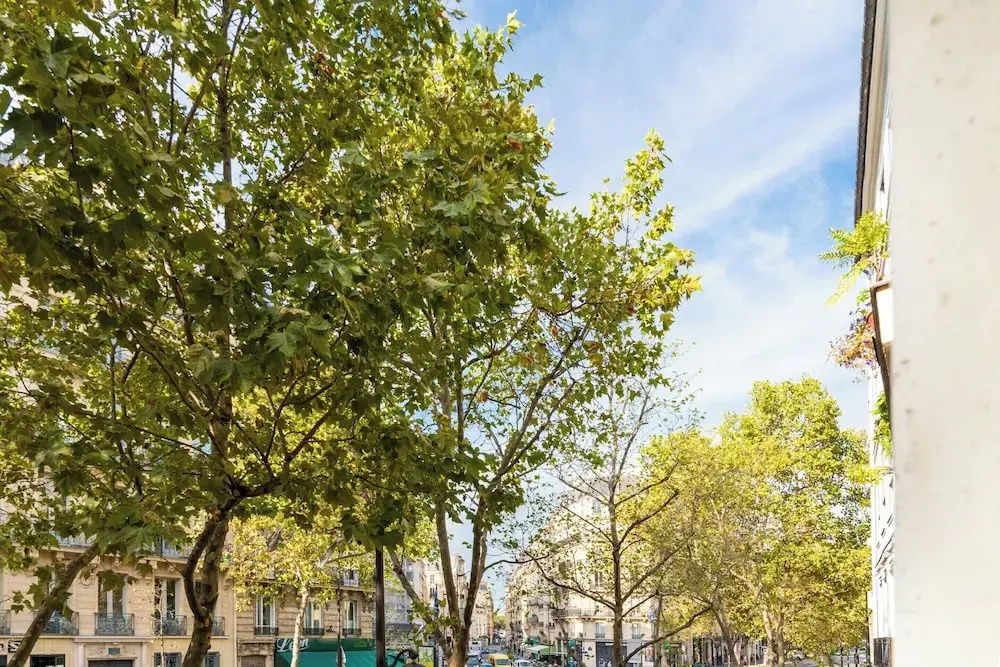 Chic Apartment - 2br/5p - Boulevard Saint-germain