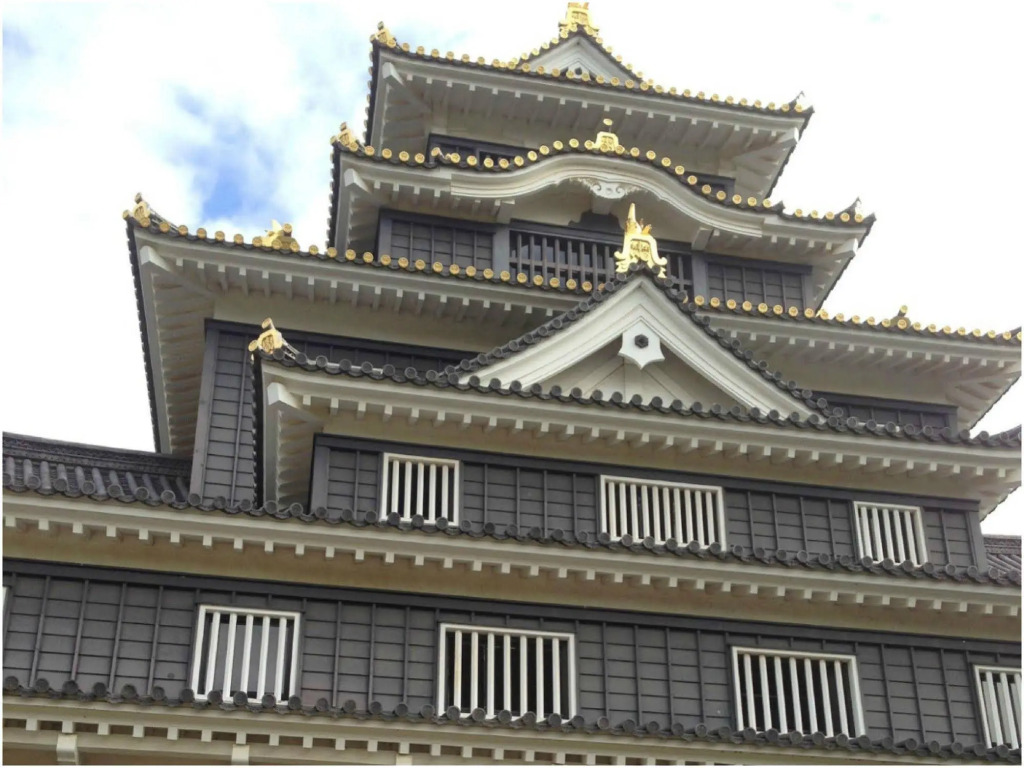 Image 10