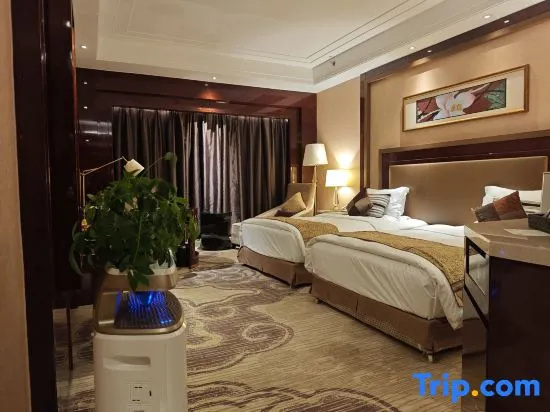 Embassador International Hotel - Chambres