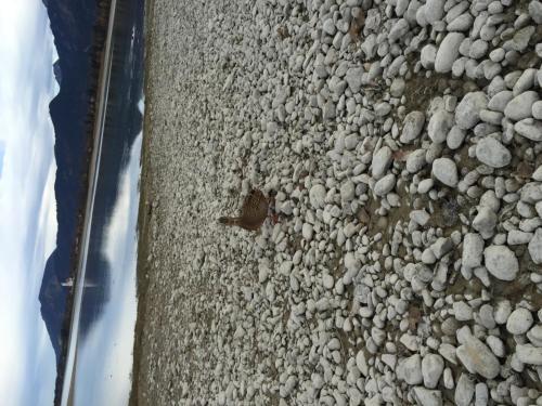 Image 14