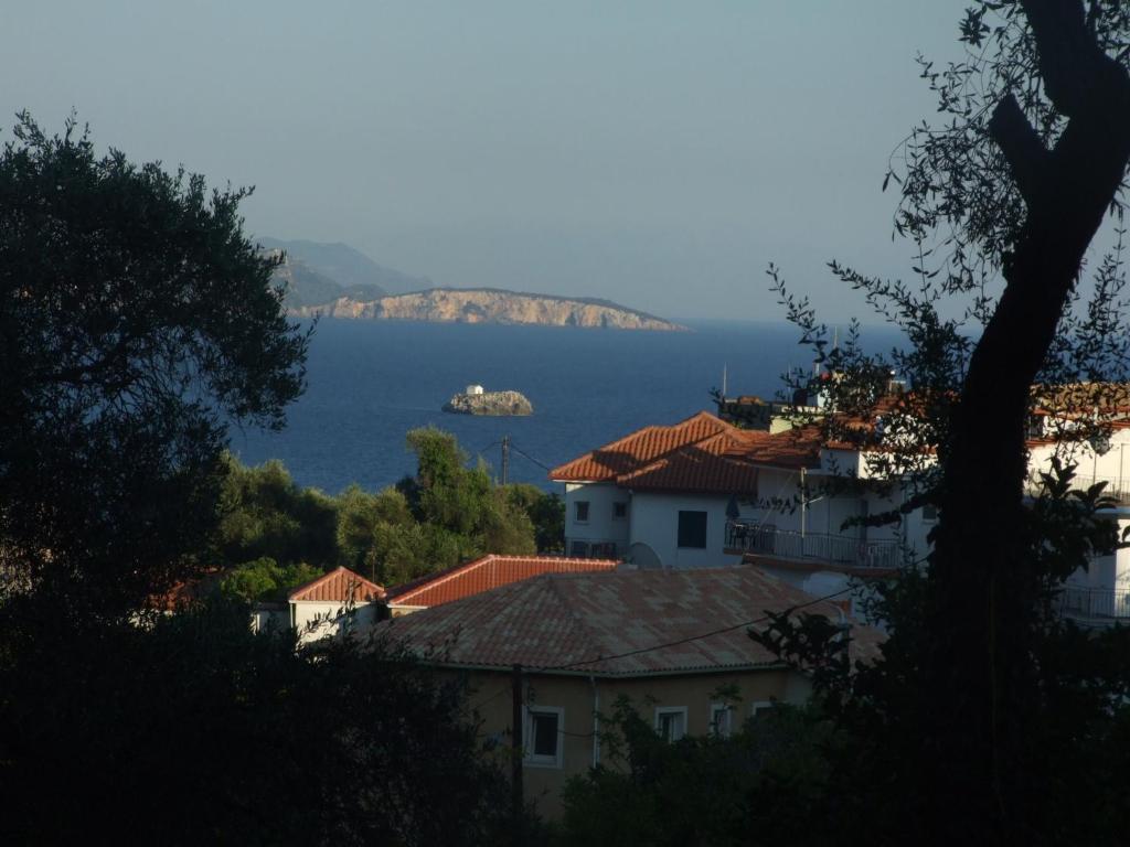 Image 12