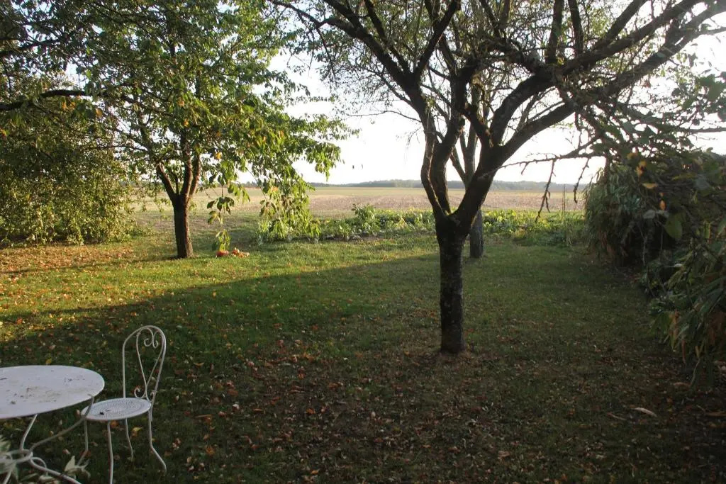 Standard Double room with garden view (full double bed)