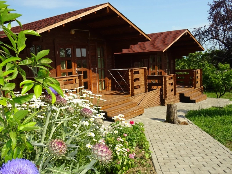 Никопсия - фото 8