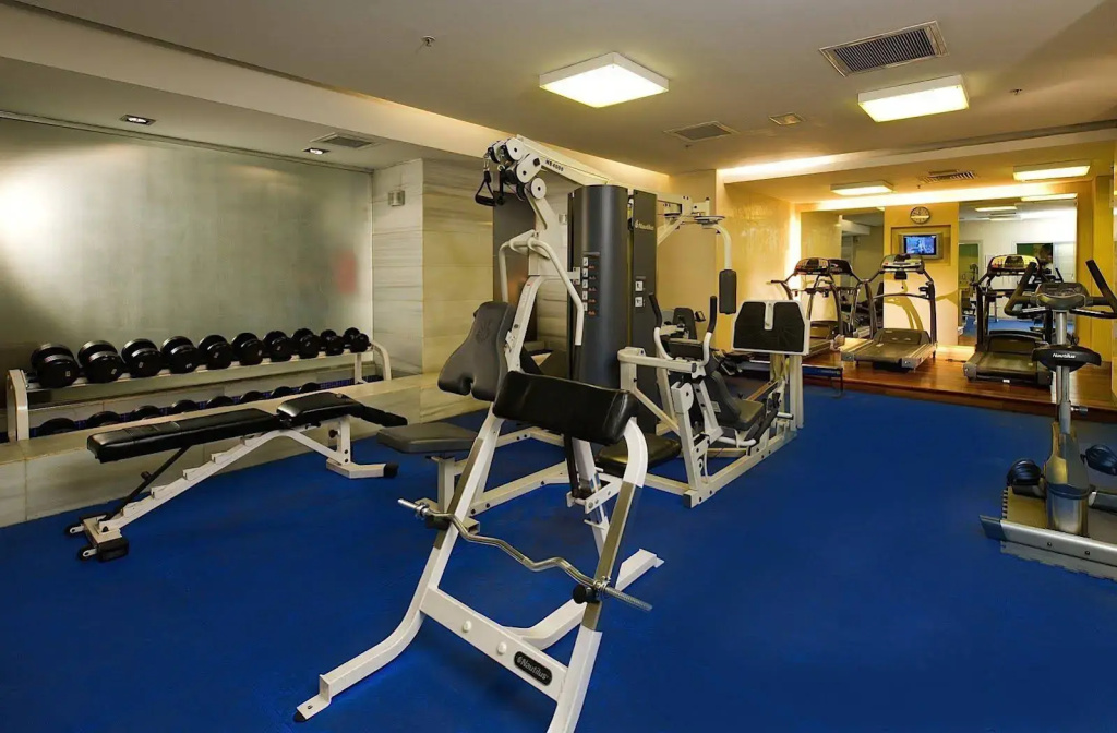 Holiday Inn Istanbul City — Стамбул, Туреччина мініатюра 21