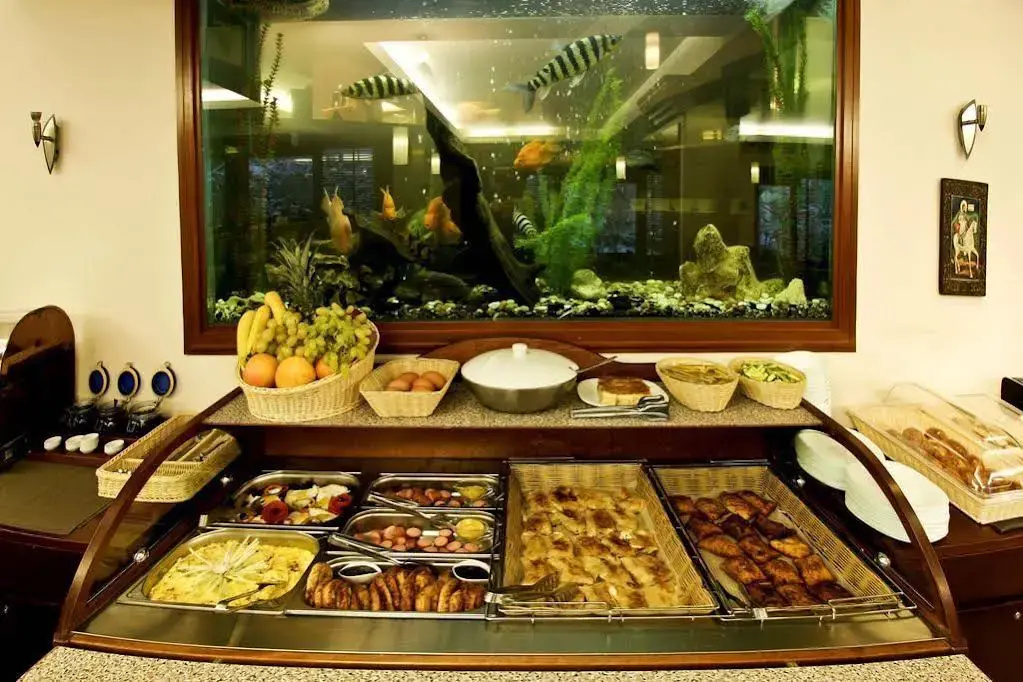 Edi Hotel Sofia - Général