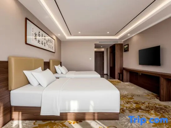 Deluxe Double room (twin beds)
