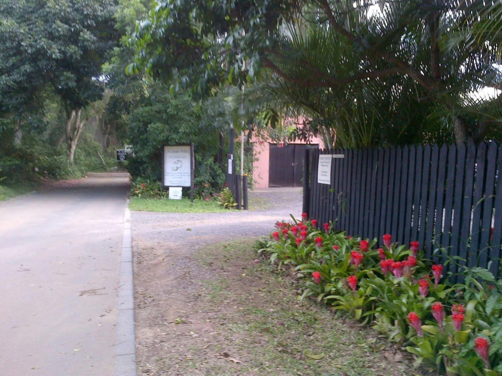 St Lucia Wilds - Général