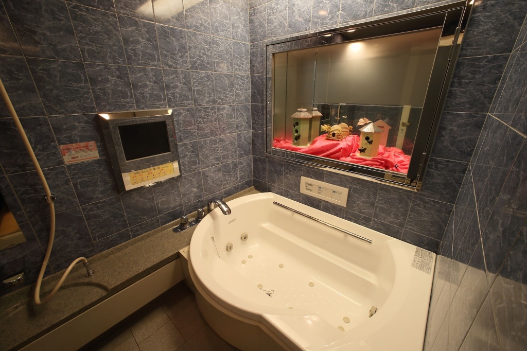 Grand Fine Kyoto Okazaki 사진 21