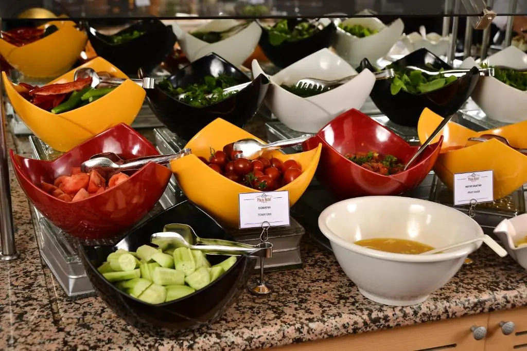 Ankara Plaza Hotel - Général