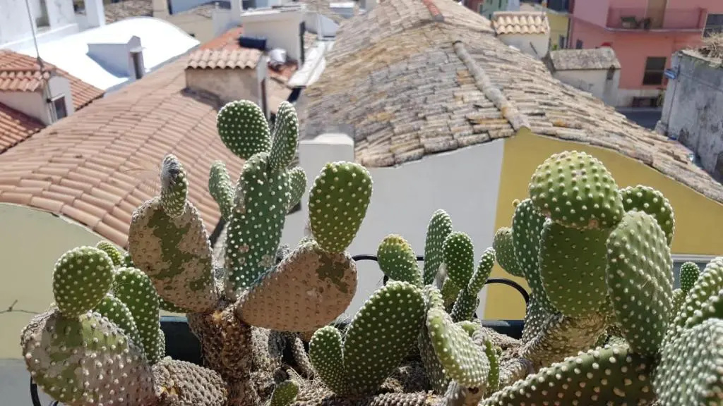 Ninetta's apartment - Bernalda (Matera)