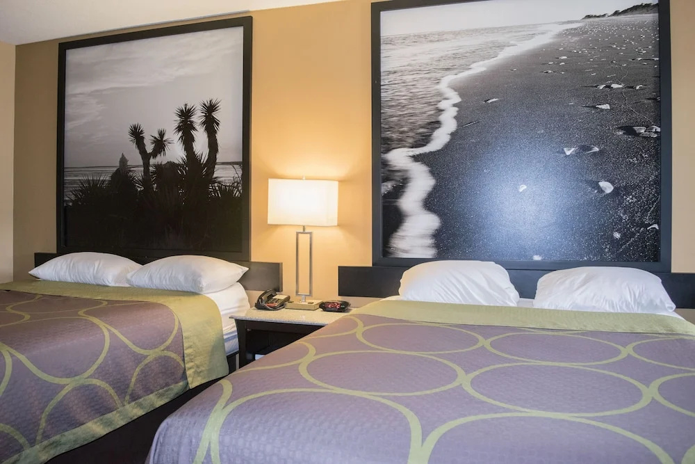 Platinum Inn & Suites Willowbrook Houston - Chambres
