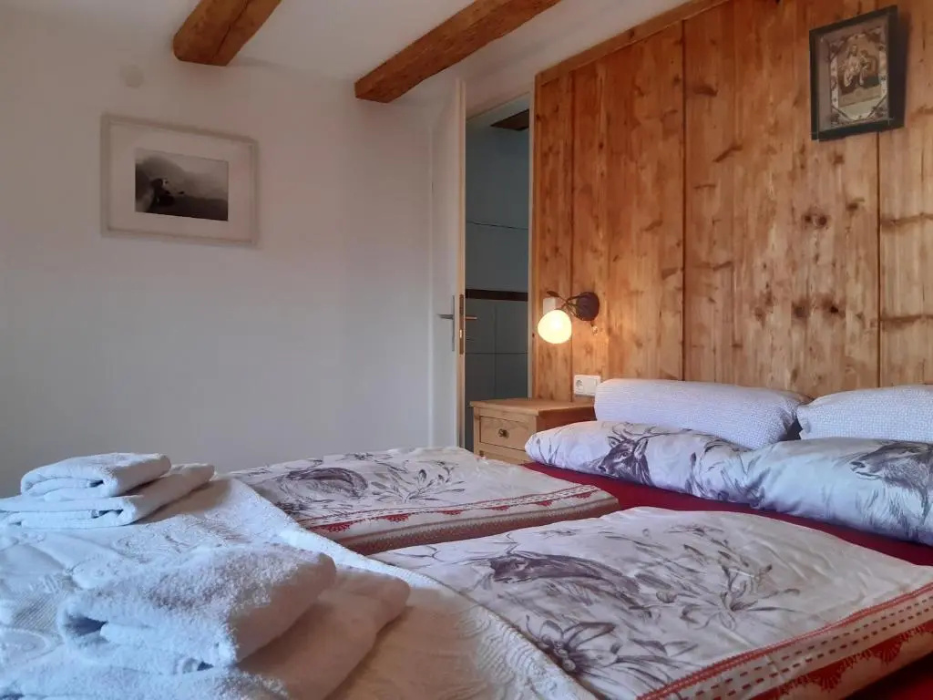 Standard Double room with balcony (full double bed)