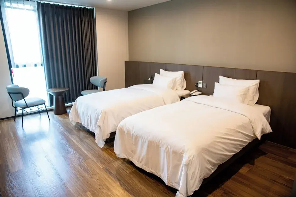 Deluxe Double room with city view (twin beds)