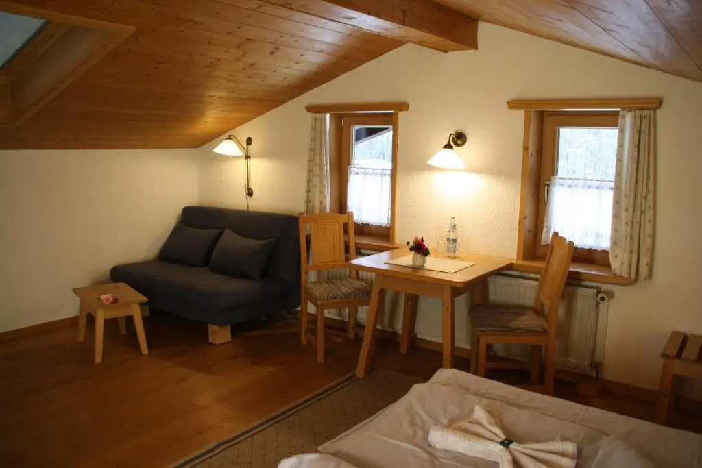 Deluxe Double room (full double bed)