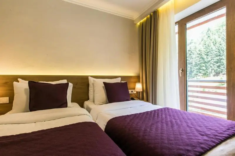 Standard Double room (twin beds)