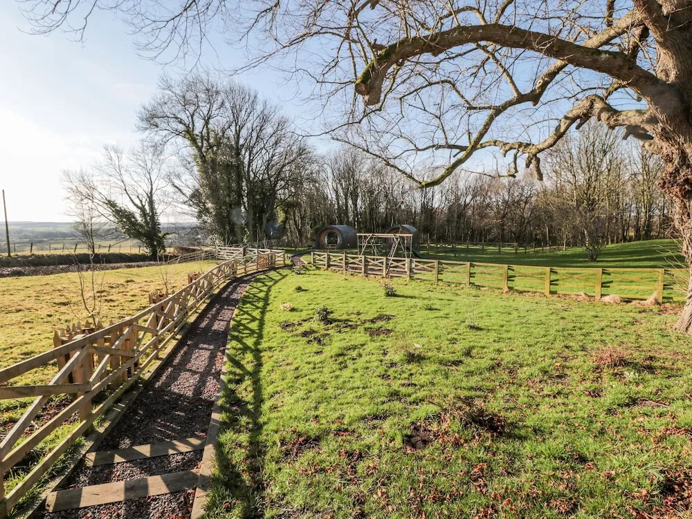 Bracken, Morpeth