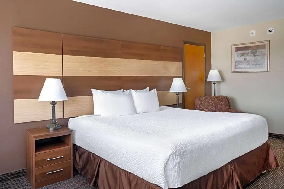 1 Bedroom Double Suite (full double bed)
