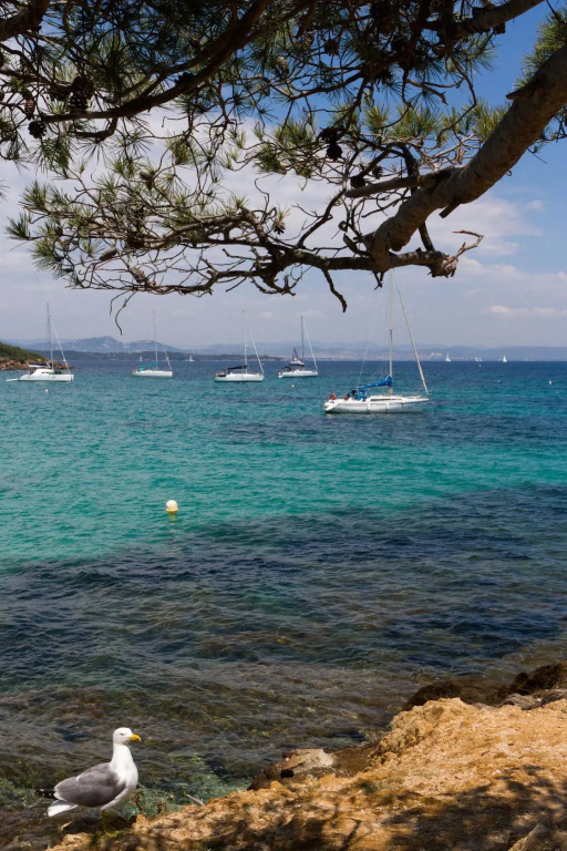 Belambra Clubs Presqu'île de Giens - Riviera Beach Club - фото 16
