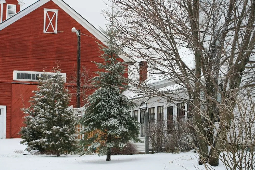 The Bradford House B&B