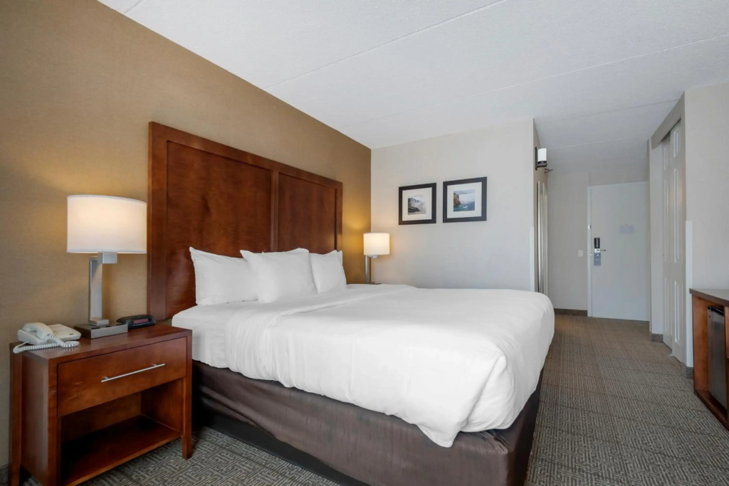 Comfort Inn The Pointe - Général