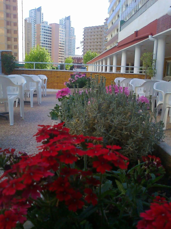 Hotel photo 13