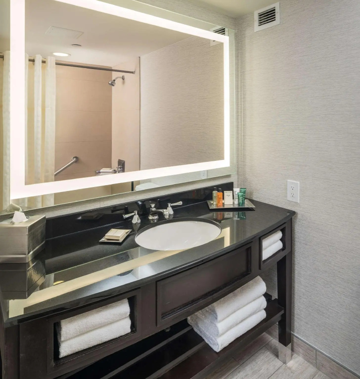 The Saratoga Hilton - Chambres