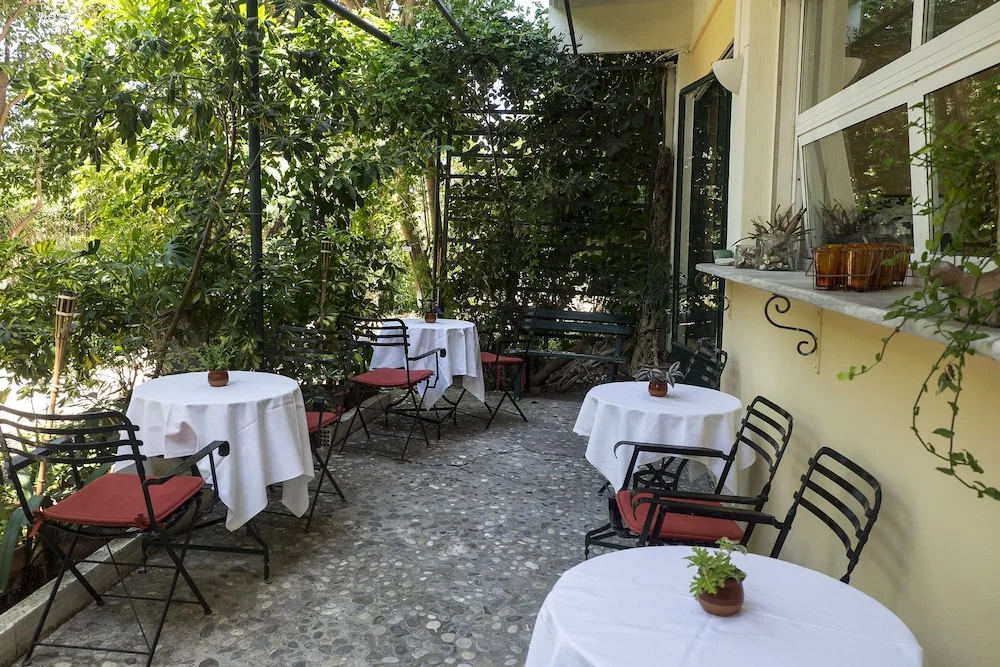 Rex Hotel - Général