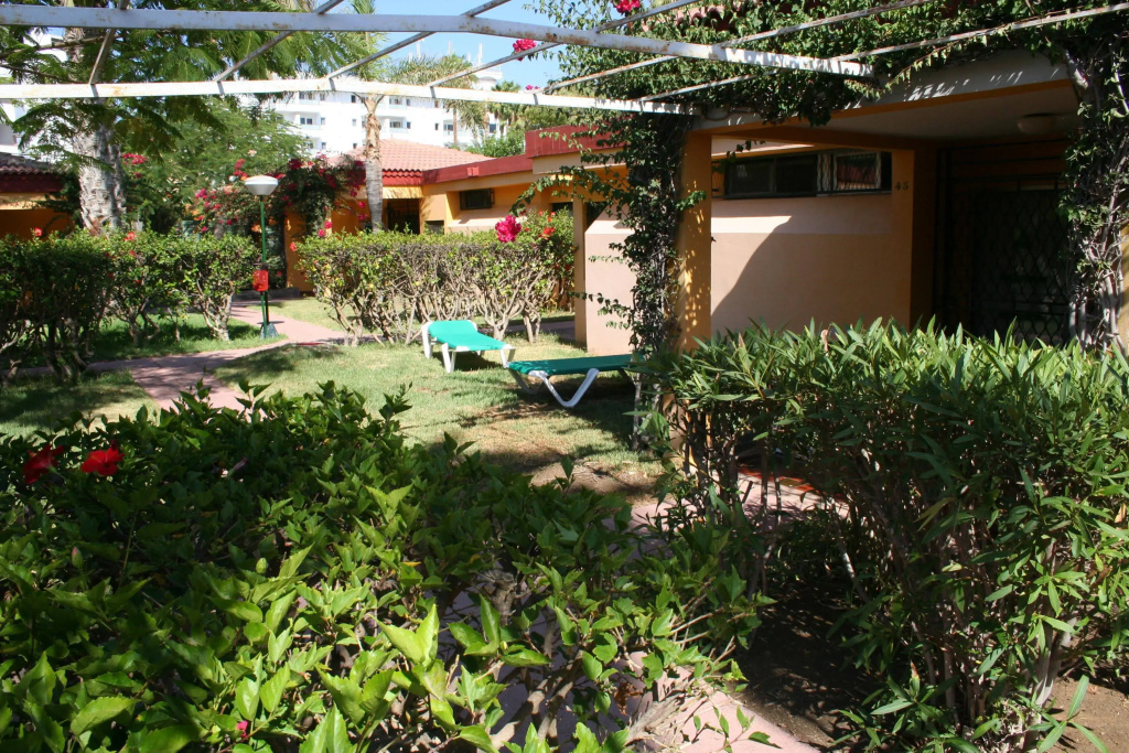 Artemisa