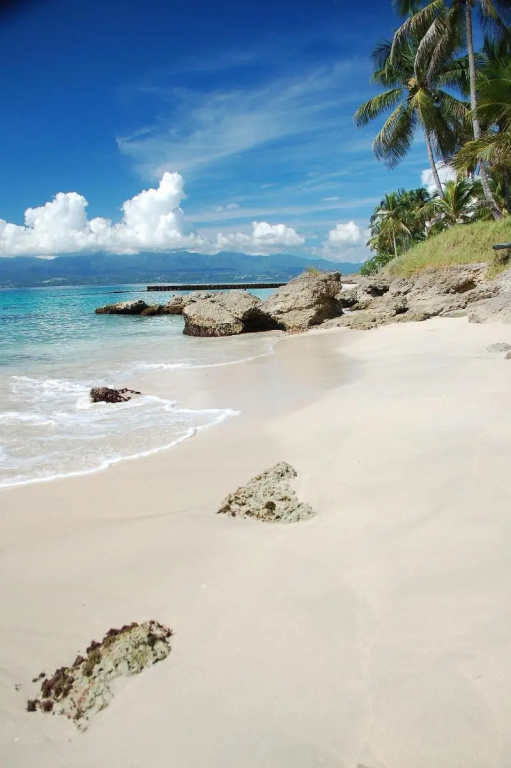 Beach & Waterfront