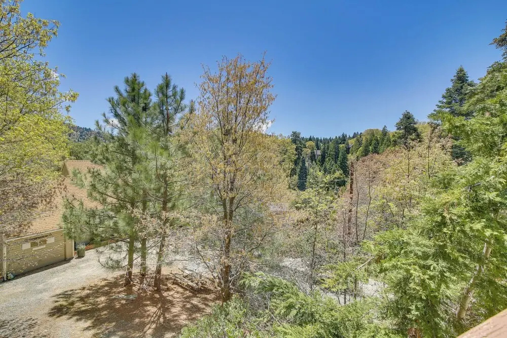 Cedar Glen Cabin 3 Mi to Lake Arrowhead Village!