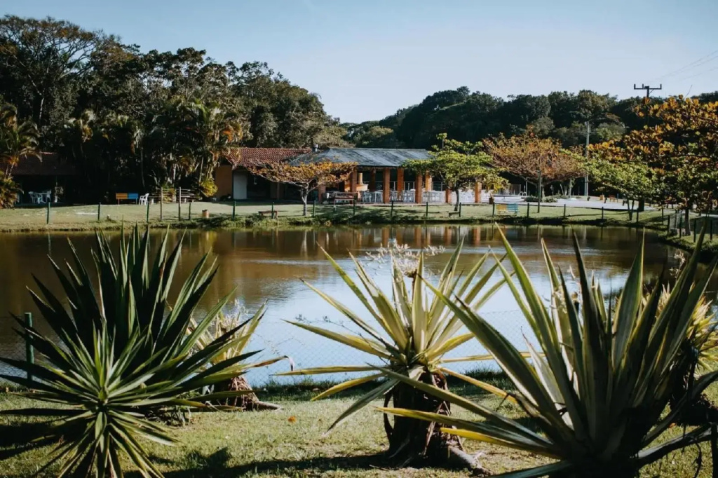 Palmas Hotel & Spa