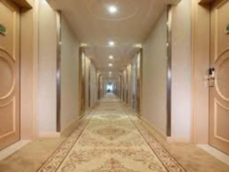 Jinze Boutique Hotel Shenzhen East Railway Station Buji Branch - Général