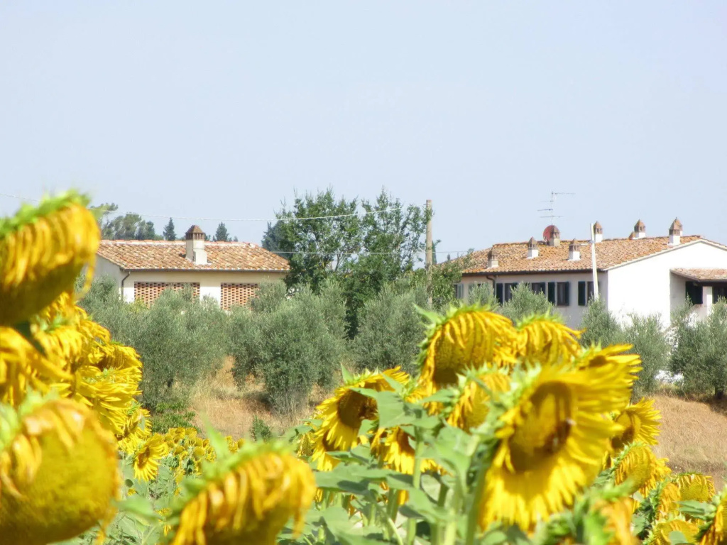 Locanda Le Boscarecce - Général